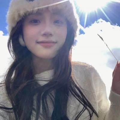 切斯纳特：中央公园的英雄