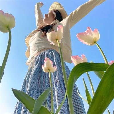 吉屋藏娇